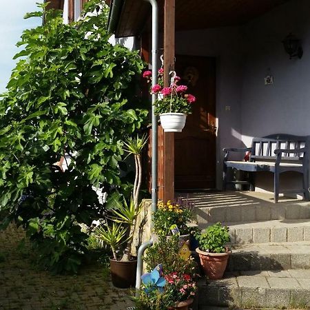 Urlaub Im Elsass Leilighet Artolsheim Eksteriør bilde